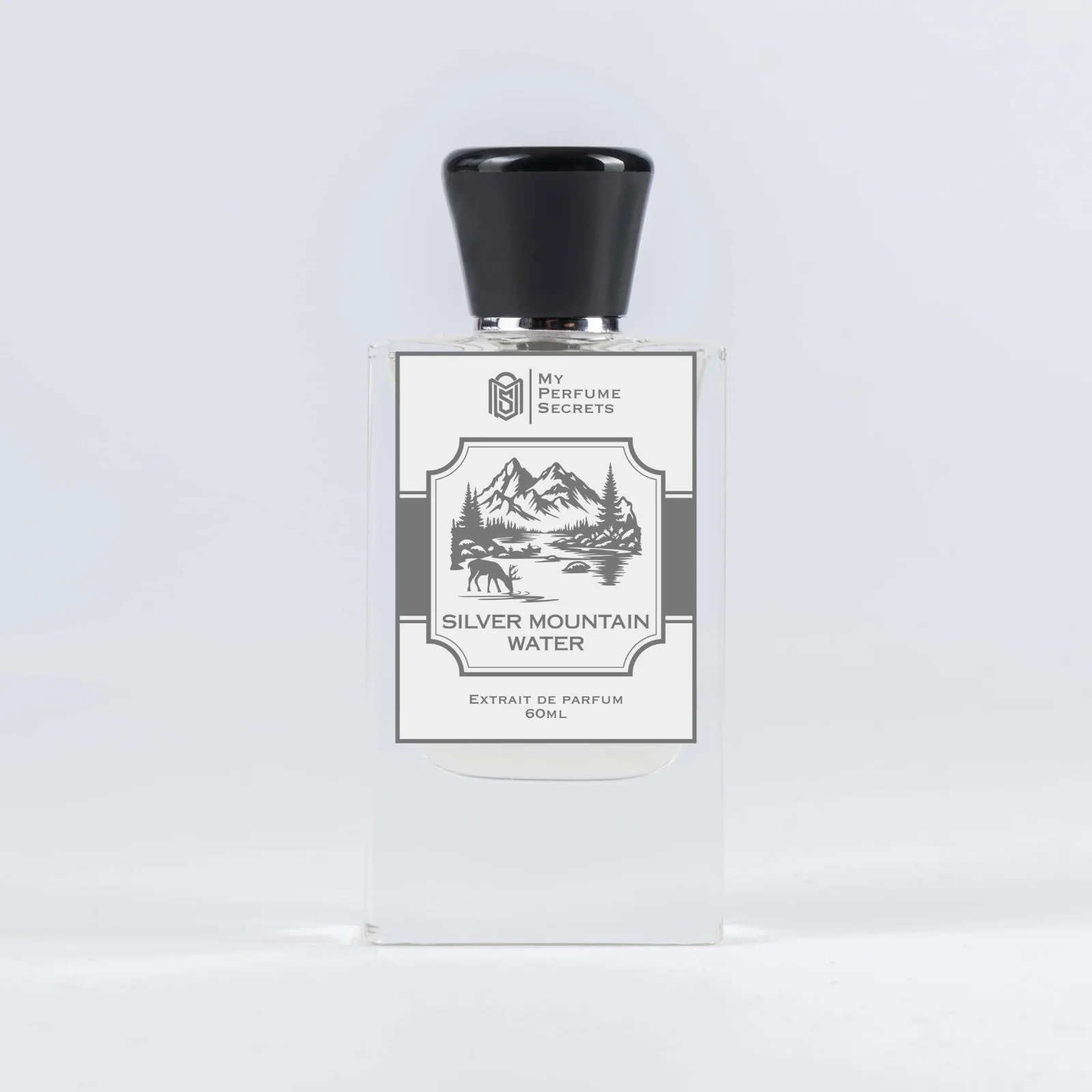 Silver Mountain Water